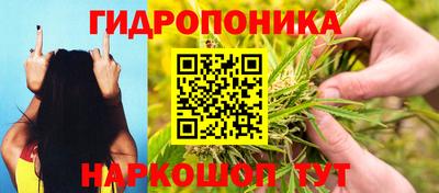 стаф Малоярославец