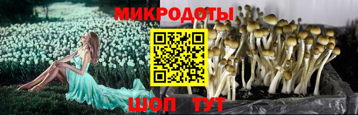 Галлюциногенные грибы мухоморы  Вход с VPN  Каменка 